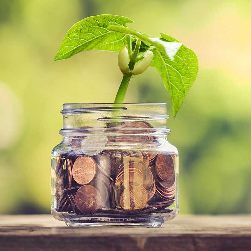 jar of coins with a plant growing